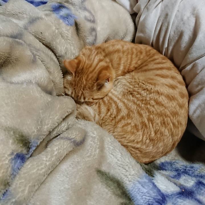 46767f85 e76d 4337 b63f c7c2e7a0b699 1648643454119