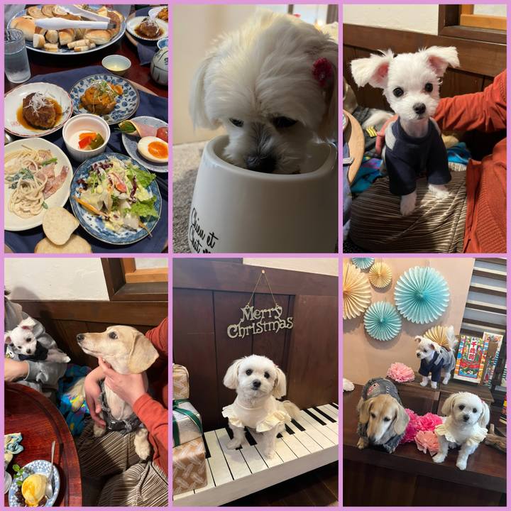 4676d8d8 5e7b 4cc9 8770 a4e4109e7c36 1669187977397