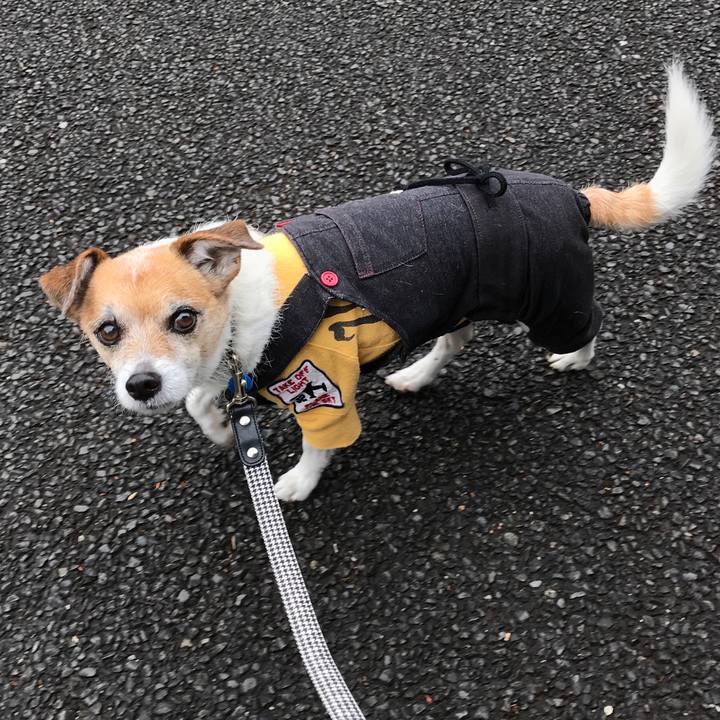 4676f203 4d40 4f62 be66 5e11c78cf85a 1582332316433