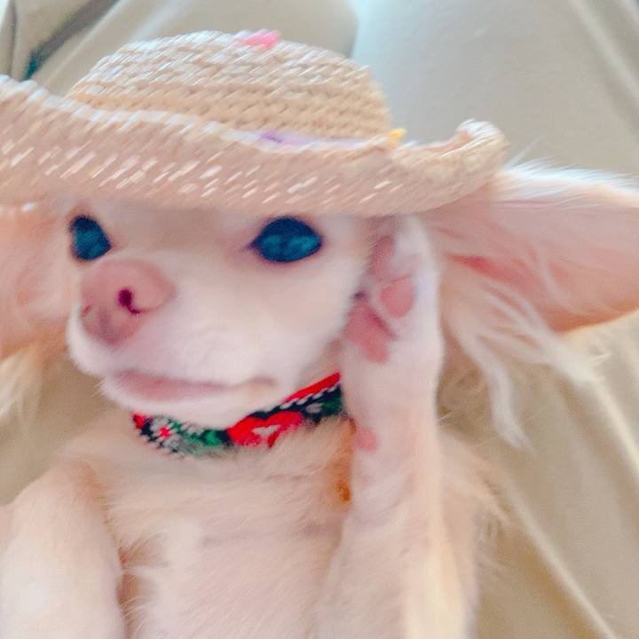 4676fa10 9651 49cf 98e2 e2ea8f5255ea 1627548966232