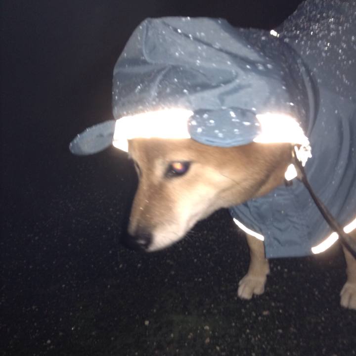 46770ebb 7eb7 403d b1bf 61235ce77261 1537955349051