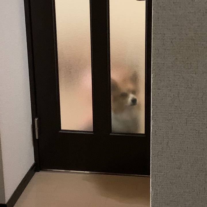 46771eff 73af 4e0d 98ab 0f0119a6f42e 1584427738113