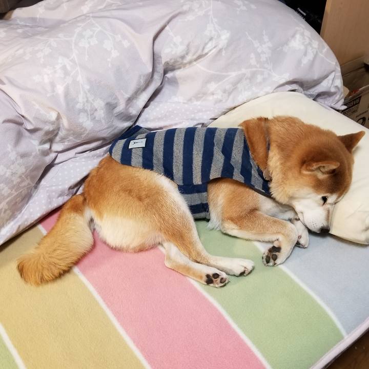 46772dcd 2b29 4868 8f35 6728d66700dc 1580904529848