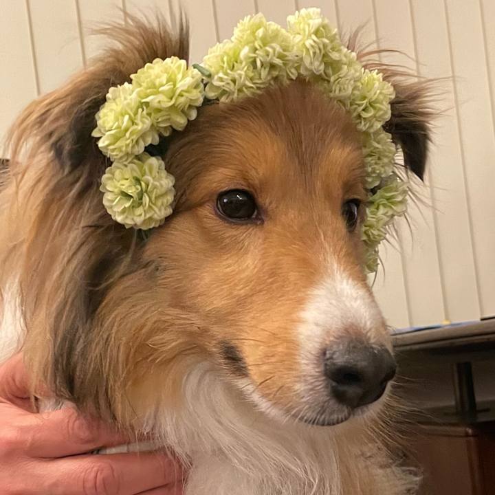 4677375f 4580 4e89 8817 58bf13dfda88 1647267244750