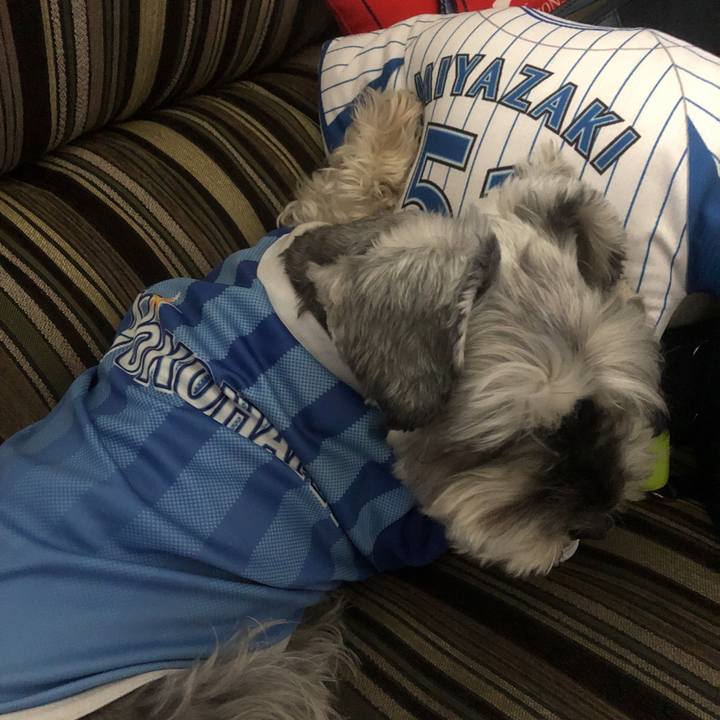 46773ab9 246a 4e85 b998 00e80db9c8dc 1560662385190