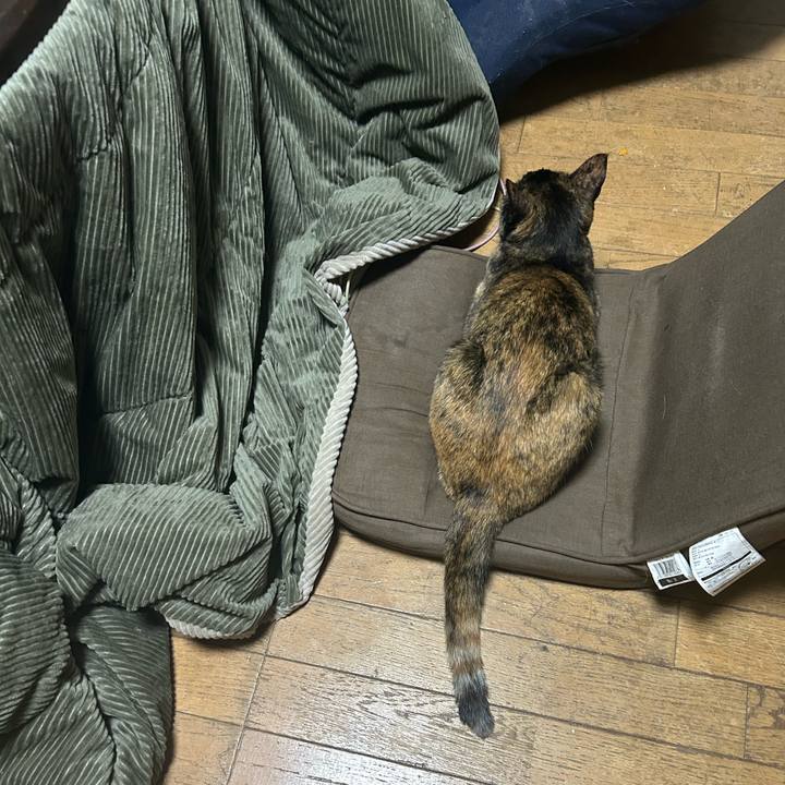 46773b8d b350 4101 a105 e3df39a53f3a 1764343509781