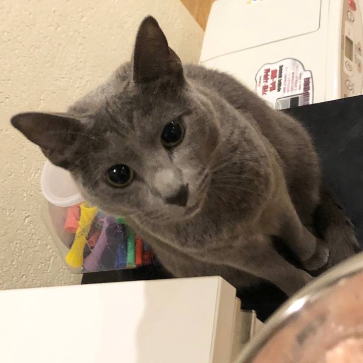 46773d97 bd7a 4492 836a 4af3bf551452 1581029174301