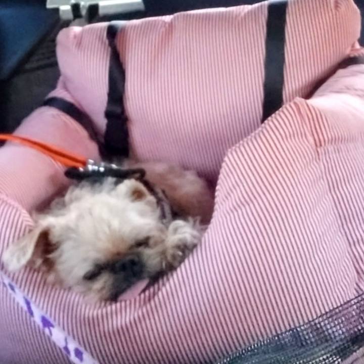 467746e9 d1eb 4172 b213 a1e1a4ef328f 1702197541686