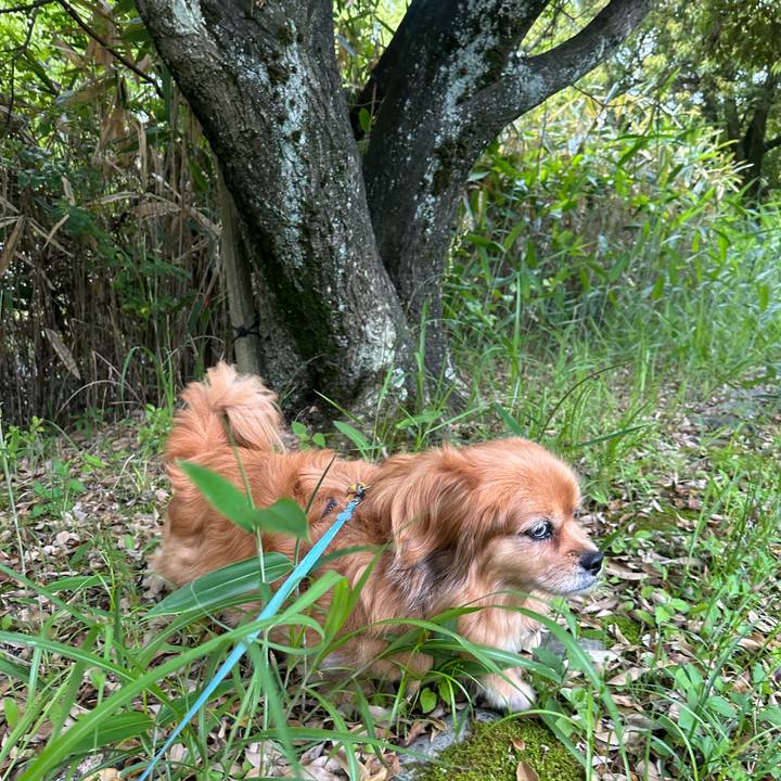 46774733 0164 451d 8958 4ba1aa4f0741 1747344599585