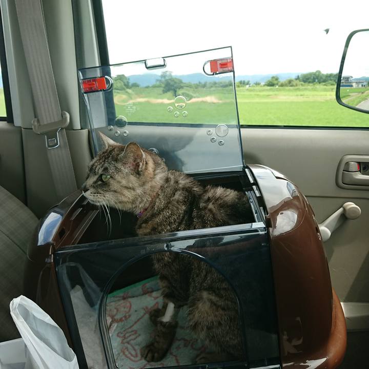 467768bd ea4b 435b a1ae 450c51796890 1595568419314