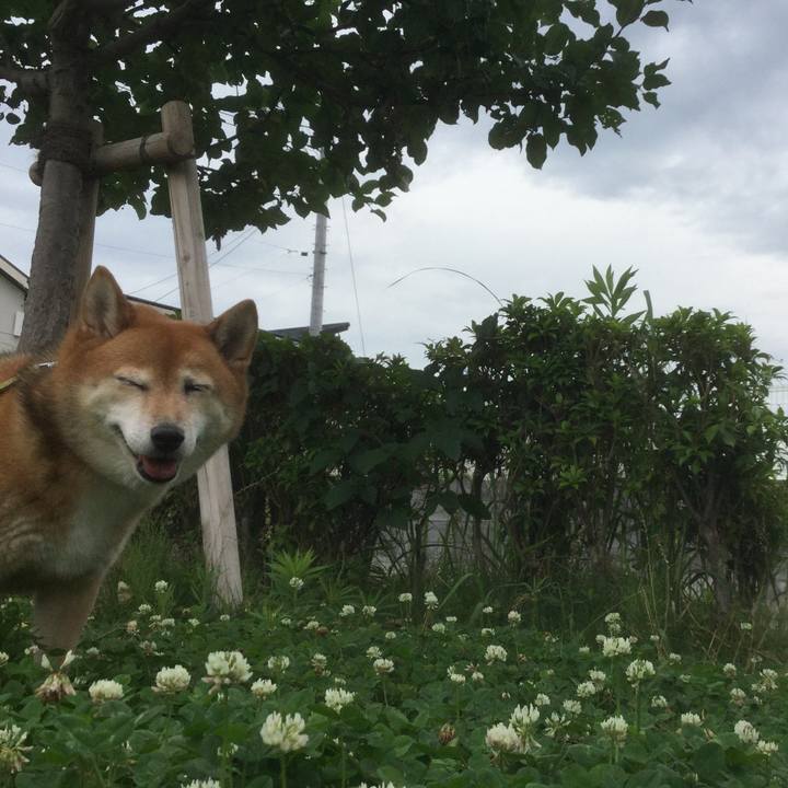 467789e3 0b2d 4622 bdf1 8594eb62891c 1593488058076