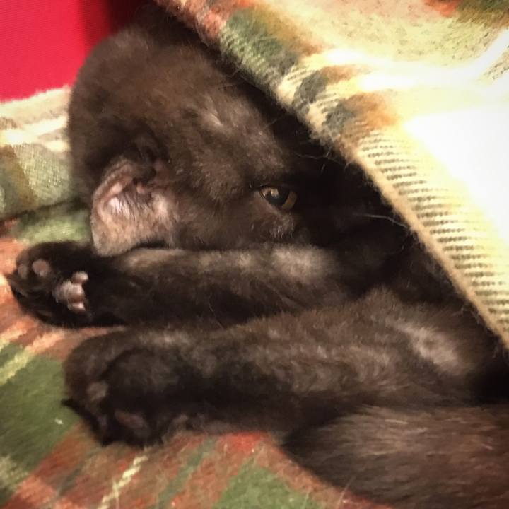 4677a5b7 859b 41fc 91cc 7603ebbbd771 1570636105605