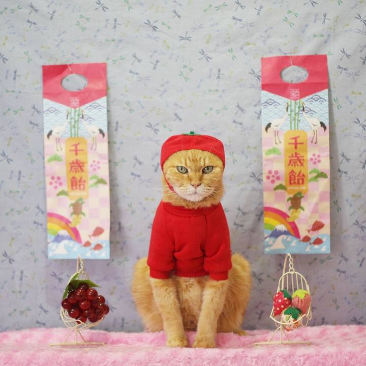 4677ce49 6adc 4ed7 af19 346baa1f0466 1667529883620