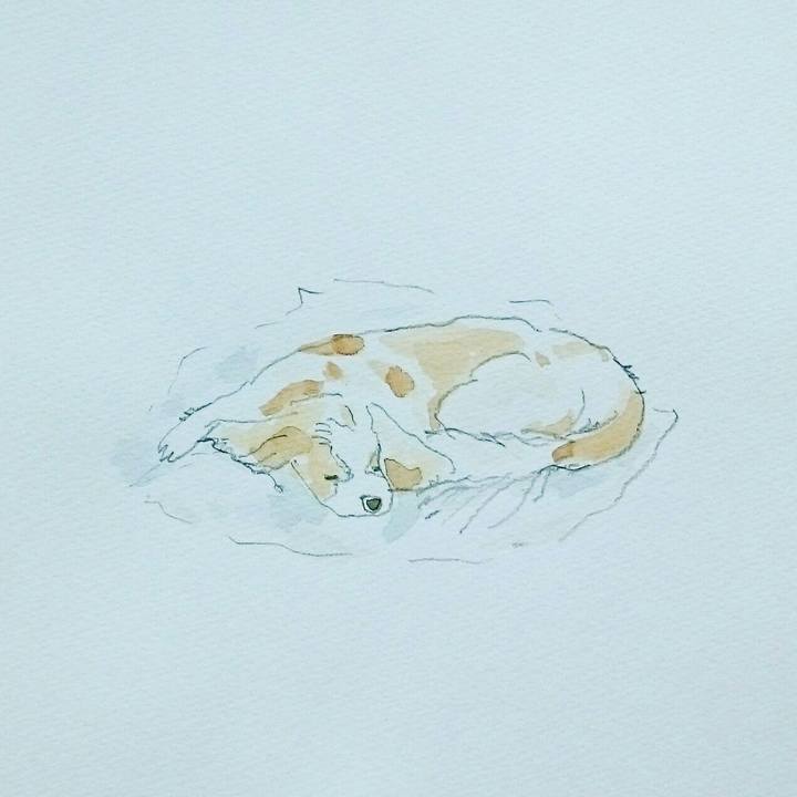 4677f021 c67b 43f9 85e9 dc8f7293f80f 1559355894605