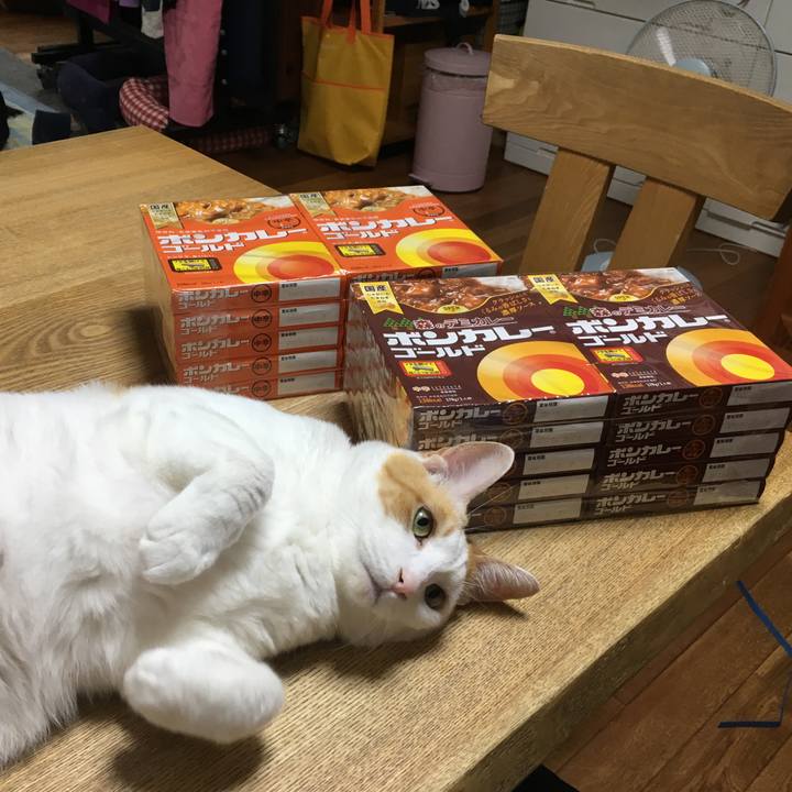 4677f0ac e385 44a6 b342 3cd3dd5f3bc1 1530090536800