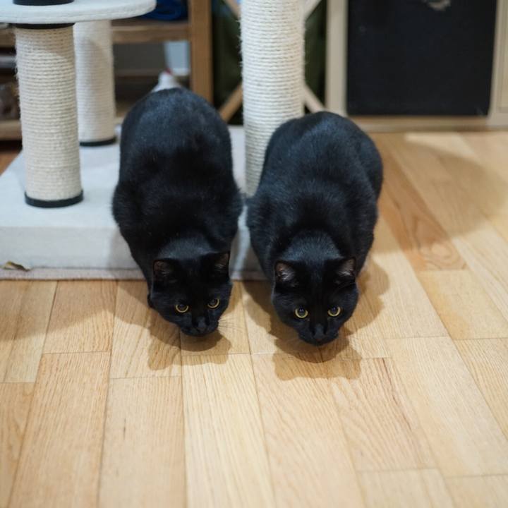 4677f78d e7d4 4733 9aff 4c6e692d0988 1527551423142