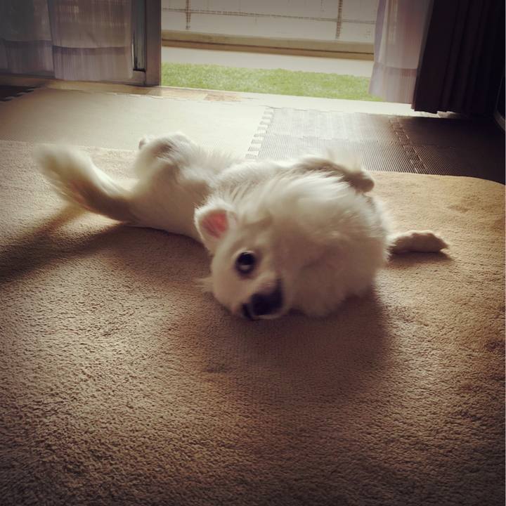 46781248 5576 4cbf 83b2 7616b38bad1c 1526451983695