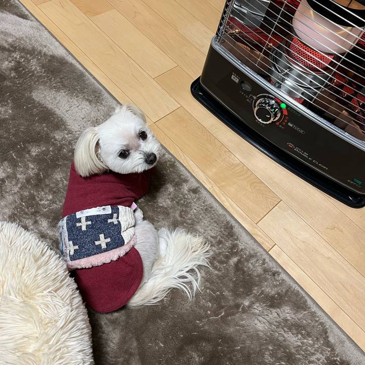 4678302c b28c 446f 93fb c9d4cbf93605 1674287038916