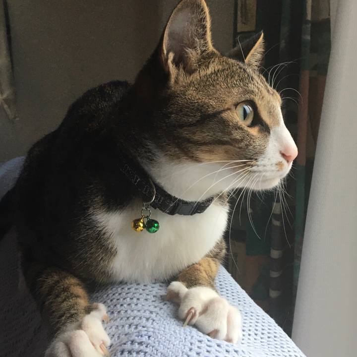 46783cf5 022c 4624 ad32 2a57bfabcc79 1680999887220