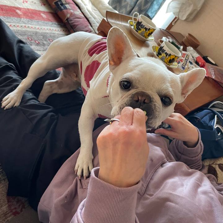 46785520 94ab 4ae2 a563 7bff5d0bc29a 1739921271134