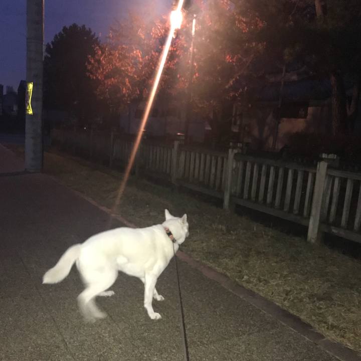 467861cb 4207 4fc1 8f00 c2c857170d68 1511687597621