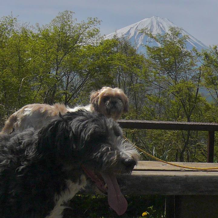 46787279 8384 44e8 82fd 685ca40fb90f 1524186476740