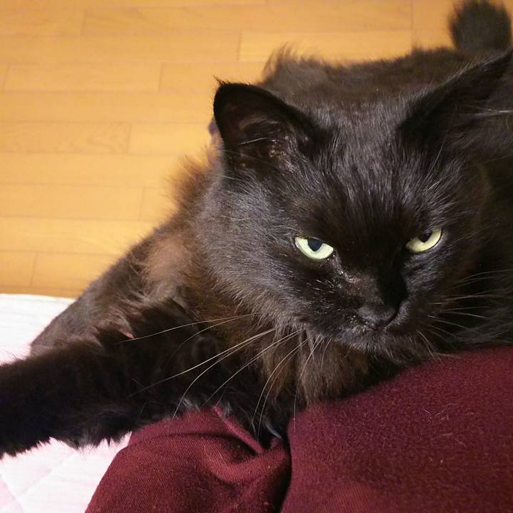 4678ef68 7a1a 44e2 98c5 264a3c36be74 1546011006949