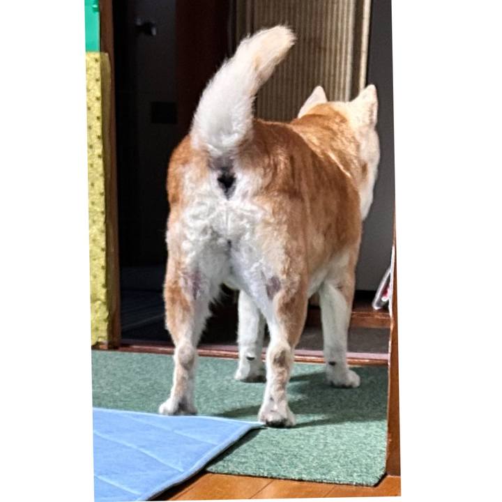 46790c71 a816 4654 98f3 c3bdd2cb3c70 1750735920232