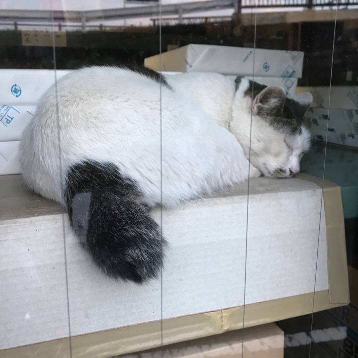 4679477b 415b 4584 8369 9e1d479c260f 1558949901906