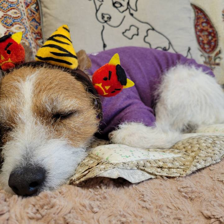 467957bb 27a1 4a4b b4c8 9f08cd04d03b 1675403315091