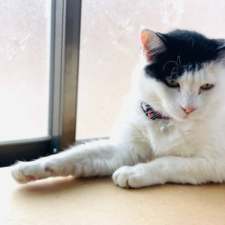 4679a15e efec 4d7f a688 95fa69e2a932 1654294025614