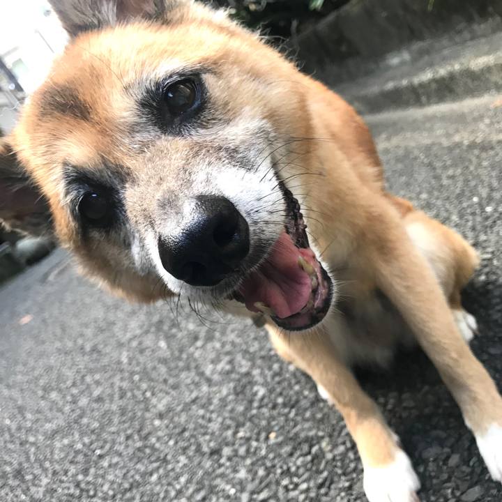 4679bceb 6c7b 44cb 9f7e e9a78c16ee68 1534976563088