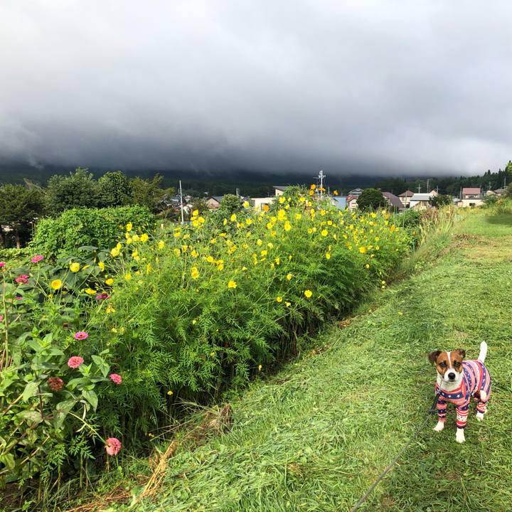 4679c2a1 4ded 4d69 95c5 a378984d33d6 1568247399126