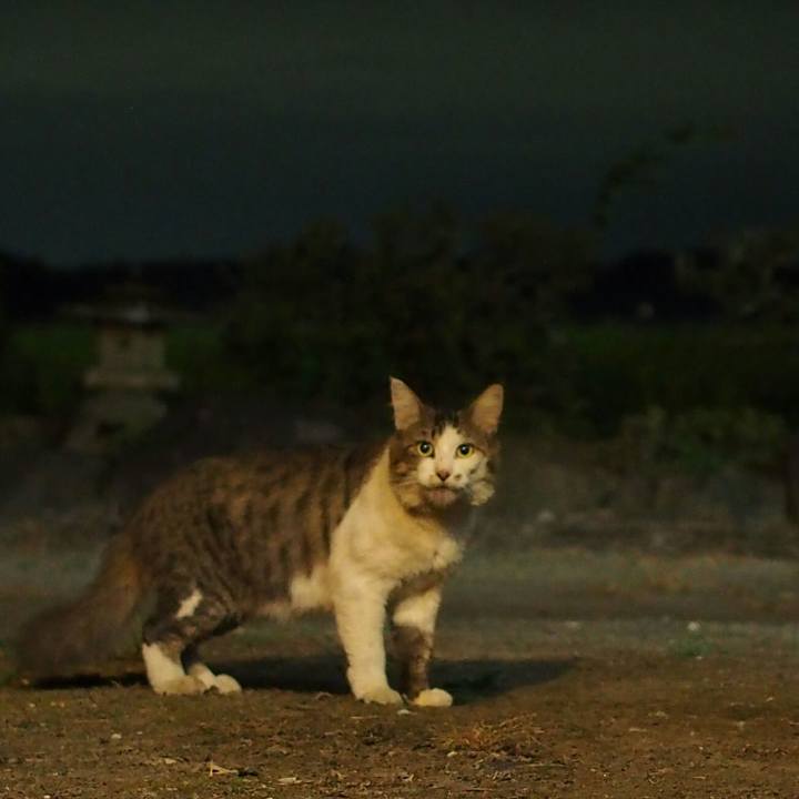 467a0d5e 5bac 48ec ac8a eead3744b7e5 1535377607192