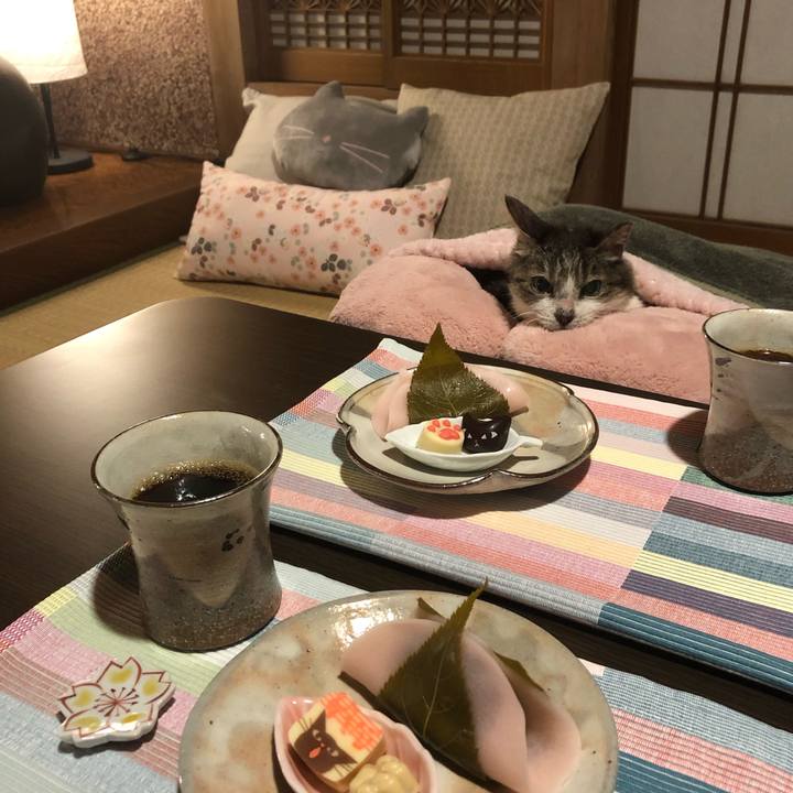 467a162c 7166 4e1e ba75 1fe7b63dae78 1553351419464