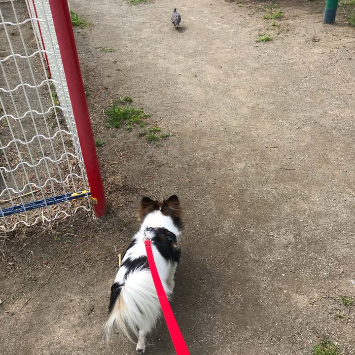 467a1bd4 f6b3 46f2 92b7 1c9acb648077 1557187161785