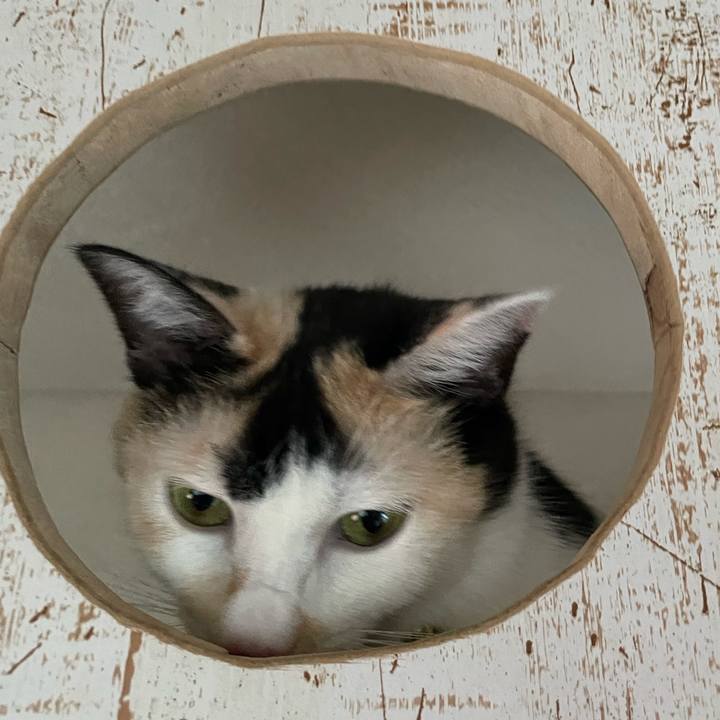 467a2233 68f5 4f53 91f5 aacaff83ef41 1694610712268