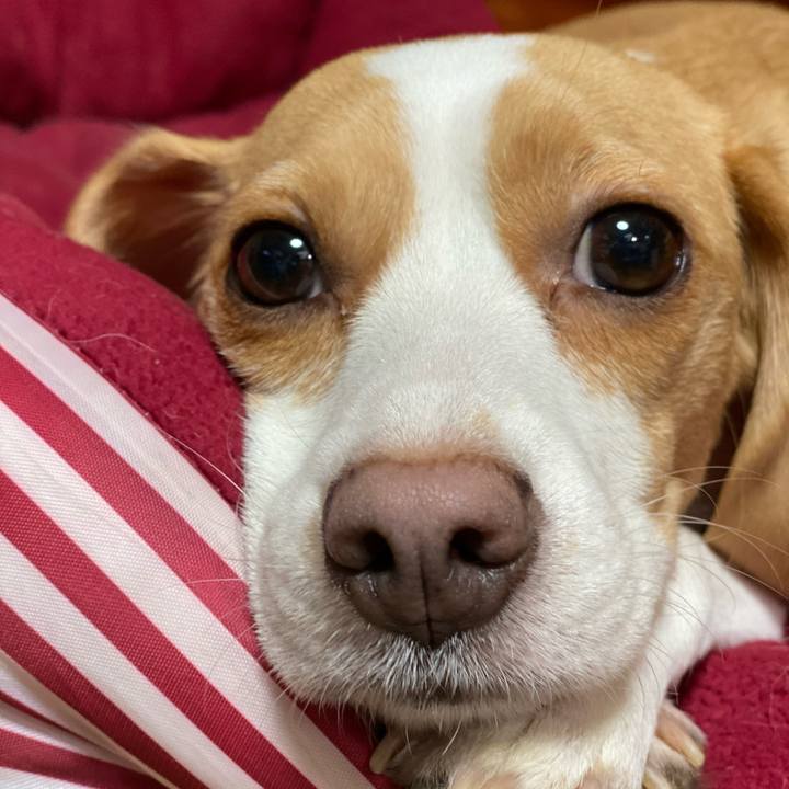 467a4e49 1c79 4295 ae3b 8719384766bb 1575214583198