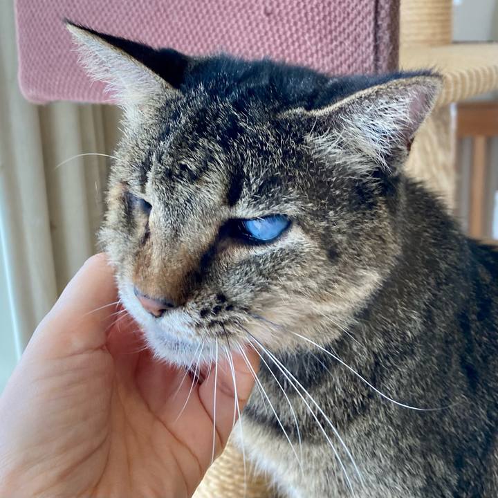 467ac086 2b7b 4e8c a18b 751558f1d64f 1675590931573