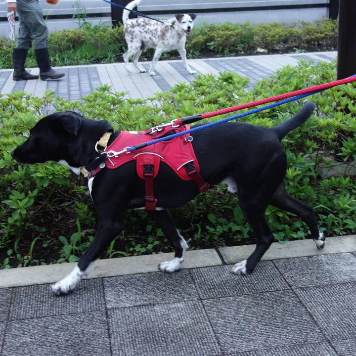 467ac153 b5bb 461f 9b2d 1a83d15354e0 1595067600552