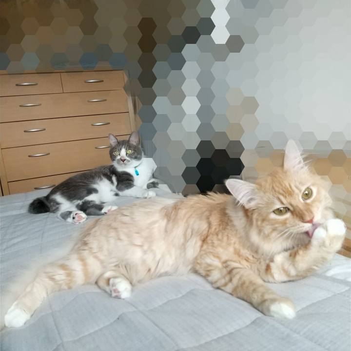 467ad3e3 5cb6 4285 b023 a96dbc72c99d 1632007207469