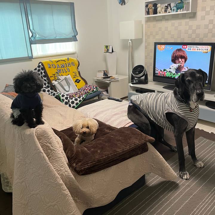 467aec36 d427 4b69 aa05 8db6fcc45652 1617229983599