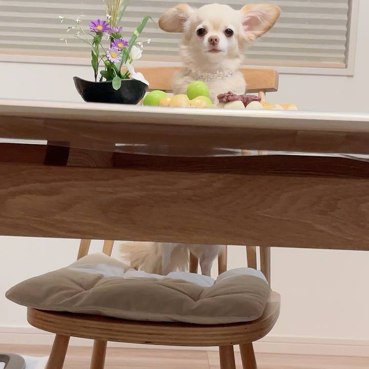 467b0109 0044 4398 a64c fd2db140fea8 1726578224700