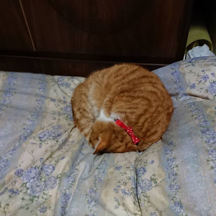 467b08b0 e0cc 43e0 a4e4 c77b1ee55022 1579521490971