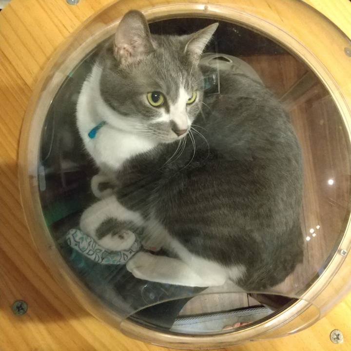 467b26d0 052a 4c37 bcb7 8b11ed06f0bd 1649078318221