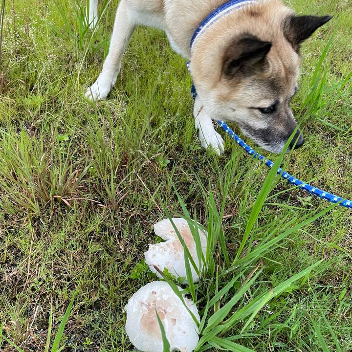 467b8a40 eb83 4282 91fc 61138cee736e 1688559470467