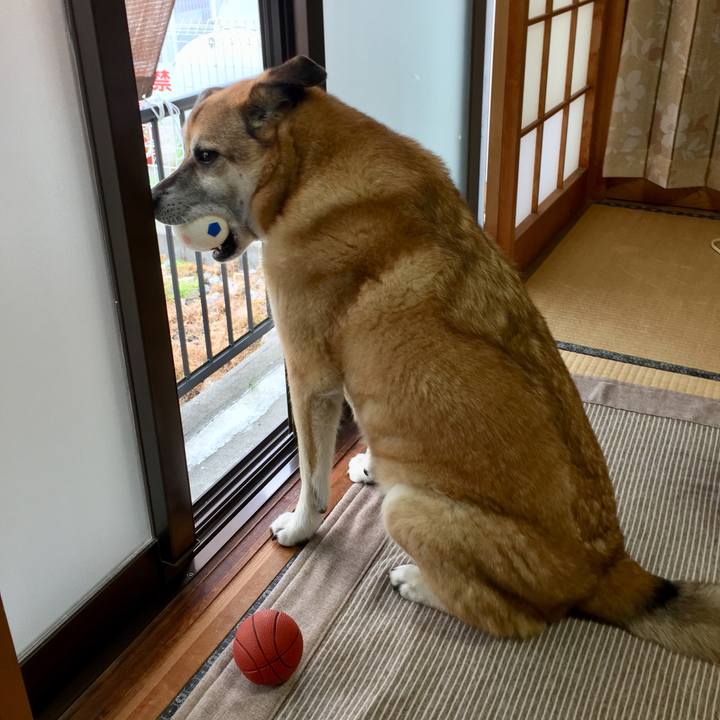 467b8c5b 0be6 4ba6 bd1d 5bd2f34ed27e 1588720243817