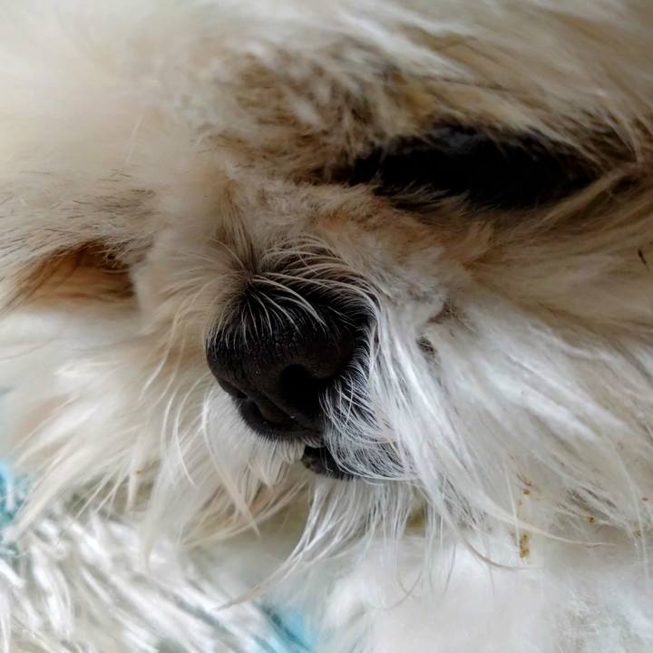 467bdb58 1297 4f2f 80ea c2c57340e35f 1680360230927