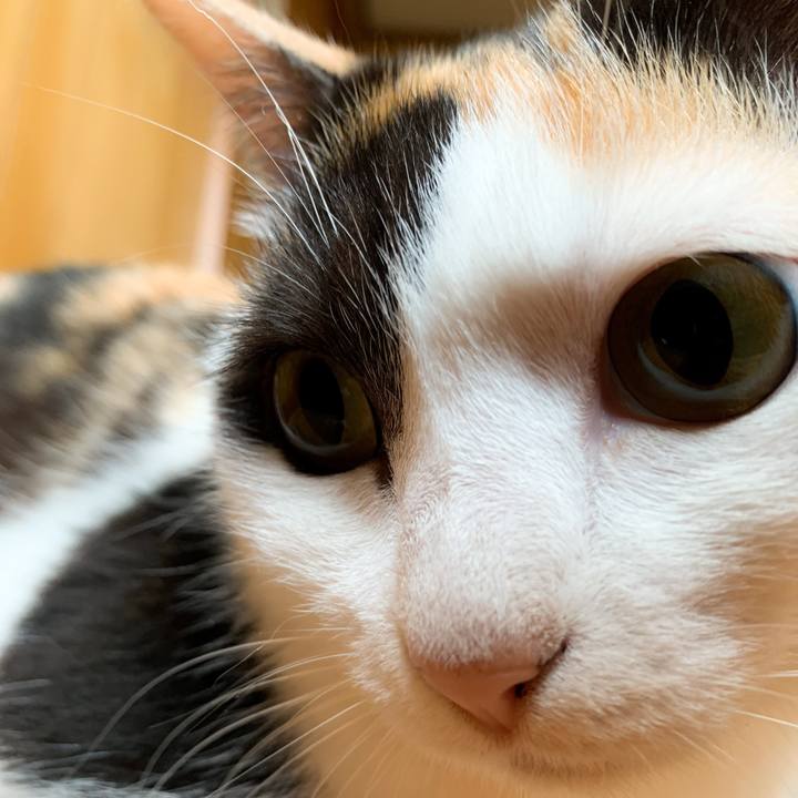 467bf1ea 2471 49a1 8588 18adbcef8ce6 1593829538533