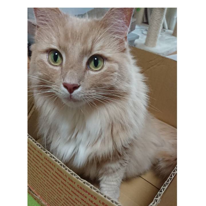 467bf734 9de2 45bf a49e 94c7ad2304ce 1566043439505